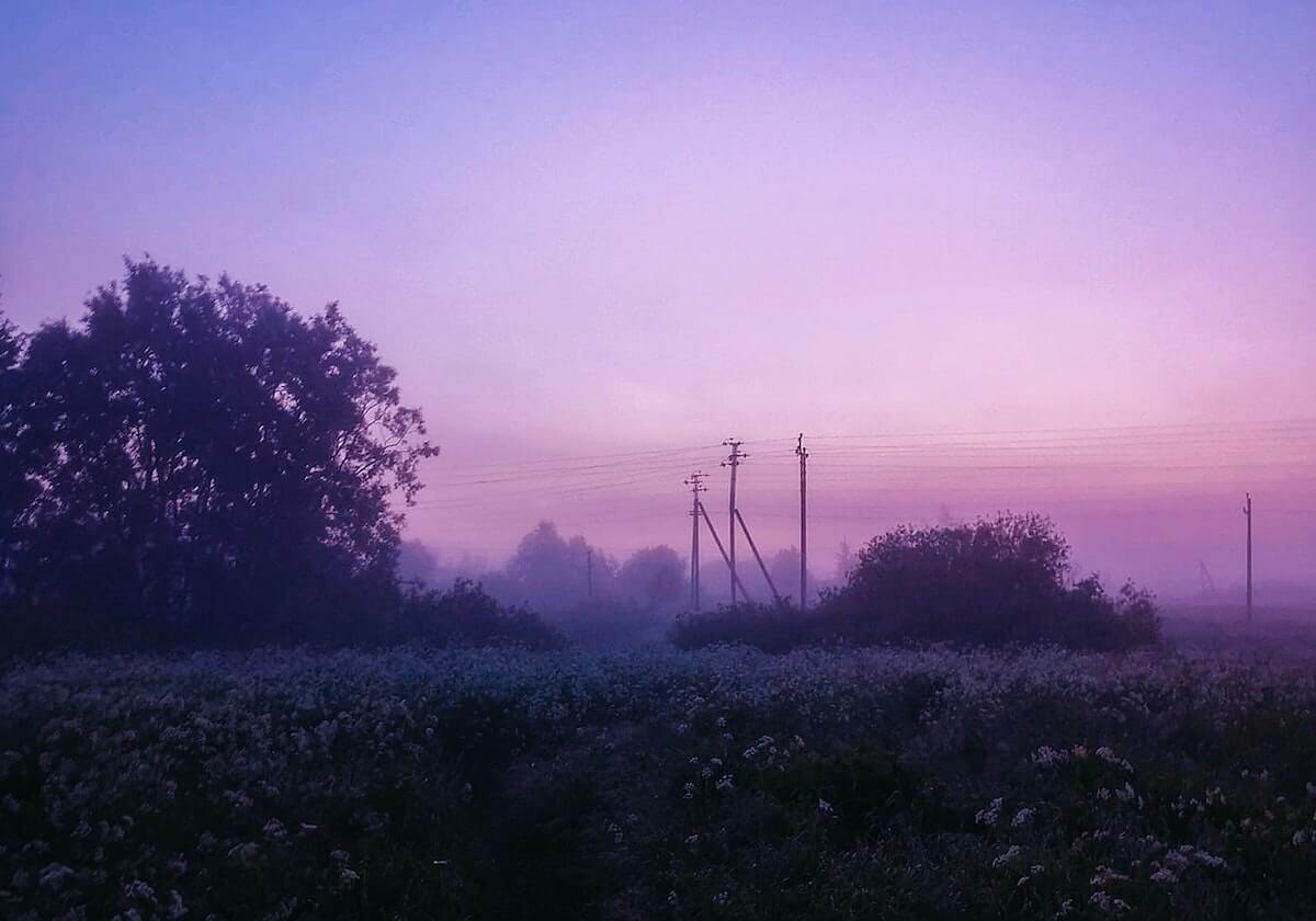 乐鱼体育下载：让掌心成为你的专属体育场